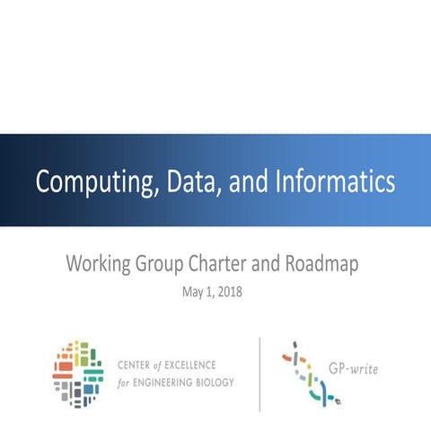 GP-Write computing group