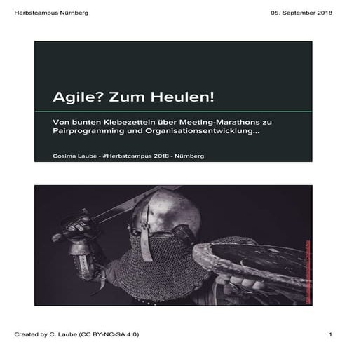 Agile? Zum Heulen! Von bunten Klebezetteln über Meeting-Marathons zu Pairprog...