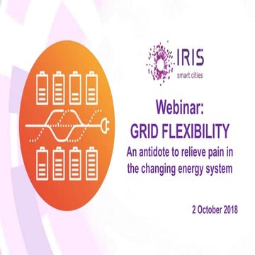 GRID FLEXIBILITY: an antidote to relieve pain in a changing energy system