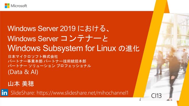  Windows Server 2019 Container & WSL
