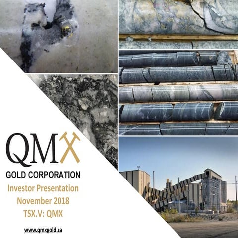 QMCU Module 1 (EN) - Company Background | PDF