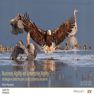 Business Agility ed Enterprise Agility