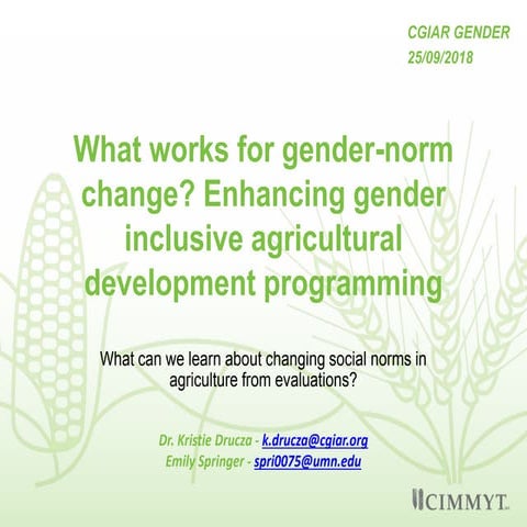 What works for gender norm change? Enhancing gender inclusive agricultural de...