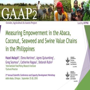 Measuring empowerment in the abaca, coconut, seaweed and swine value chains i...