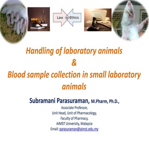 Blood sample collection in lab. animals
