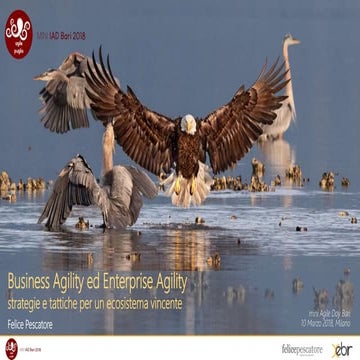 Business Agility ed Enterprise Agility (extended)