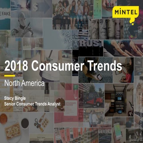 Mintel’s 2018 Consumer Trends for North America