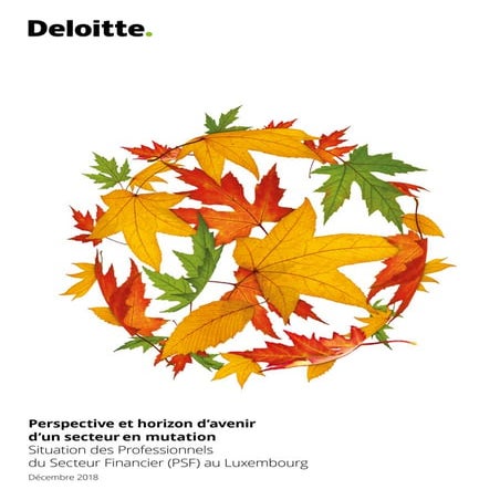 Rapport PSF Deloitte 2018 | PDF