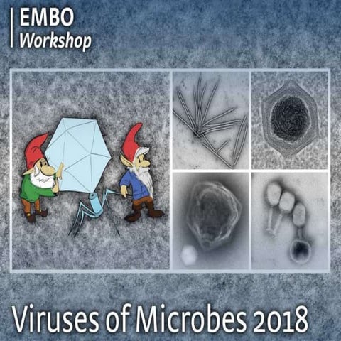 An introduction to Phage Genome Annotation (Viruses of Microbes 2018)