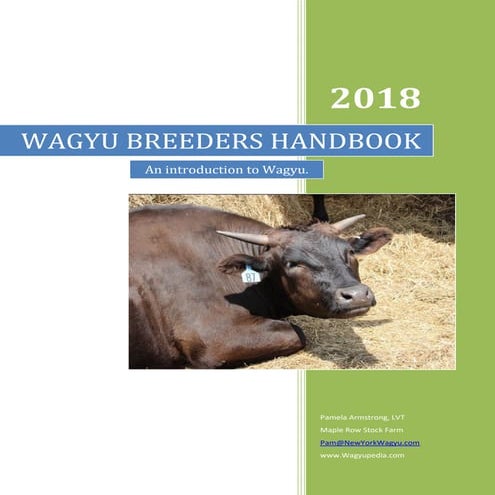What is Wagyu Beef | PPTX