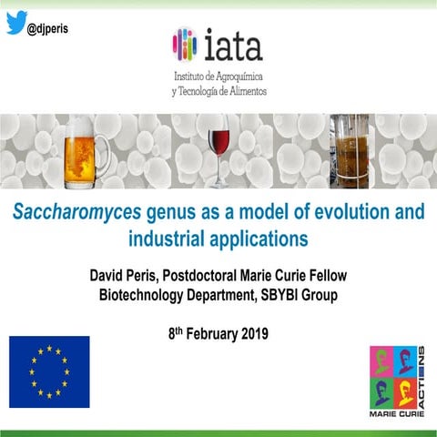 Saccharomyces genus as a model of evolution and industrial applications