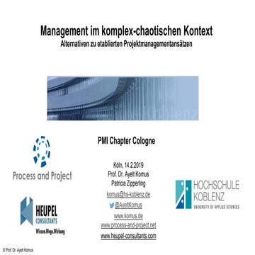 Management im komplex chaotischen Kontext Alternativen zu etablierten Projekt...