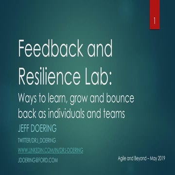 2019 05-31 feedback and resilience lab - agile and beyond