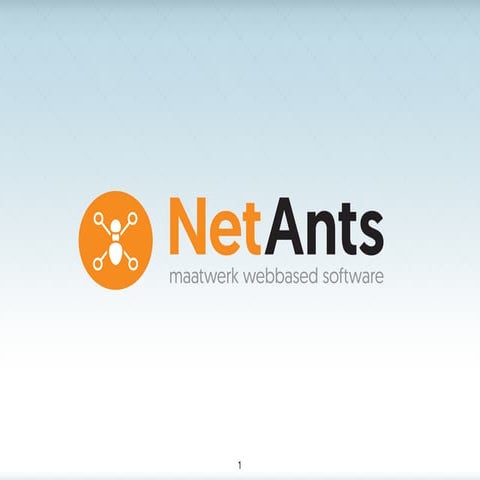 NetAnts - Agile Software Development from Experience 