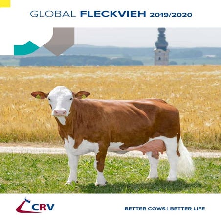 2019 08-global-fleckviehcatalogue