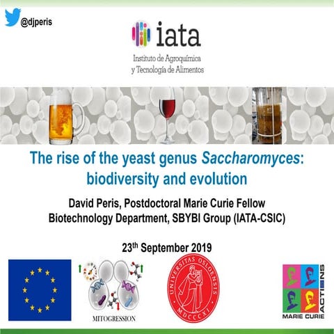 The rise of the yeast genus Saccharomyces: biodiversity and evolution