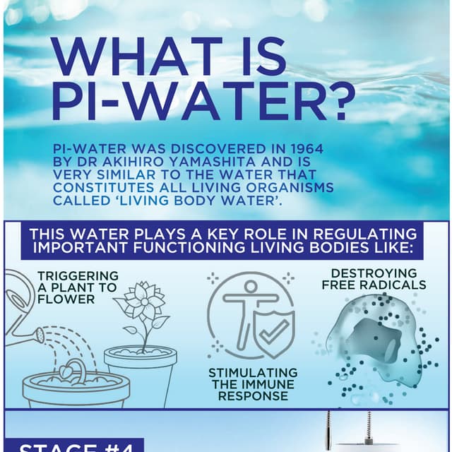 WHAT IS PI WATER? PDF Free Download