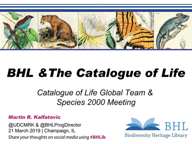 BHL & The Catalogue of Life