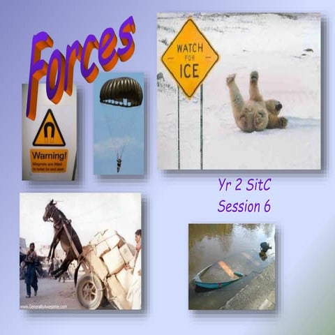 2019 20 yr 2 sit c 6 forces