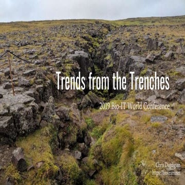 Trends from the Trenches: 2019