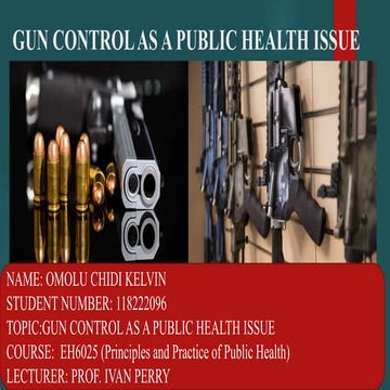 Gun Violence a Public Health Issue 