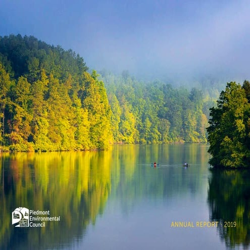 PEC Annual Report 2019