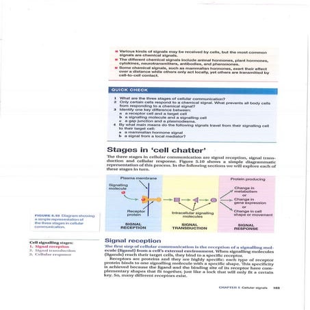 2019   y12 biology - cellular chatter source text