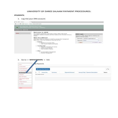  university of dares salaam payment procedures(1)