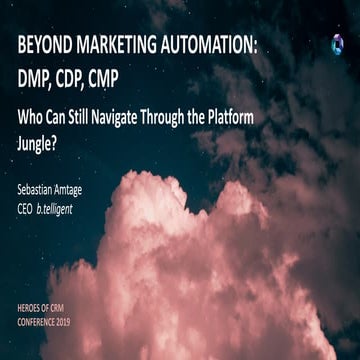 Sebastian Amtage - Beyond Marketing Automation: DMP, CDP, CMP. Who Can Still ...