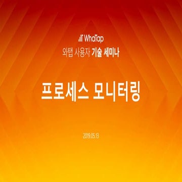프로세스 모니터링 (남형석)