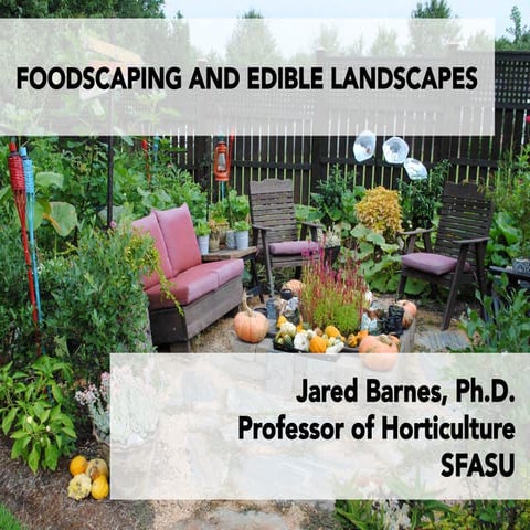 Foodscaping and Edible Landscapes