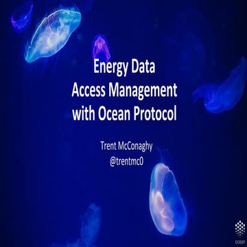 Energy Data Access Management with Ocean Protocol