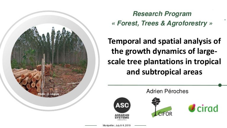 thumbnail of  Temporal and spatial analysis of the growth dynamics of large-scale tree plantations in tropical and subtropical areas