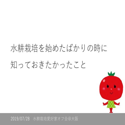 水耕栽培を始めたばかりの時に 知っておきたかったこと