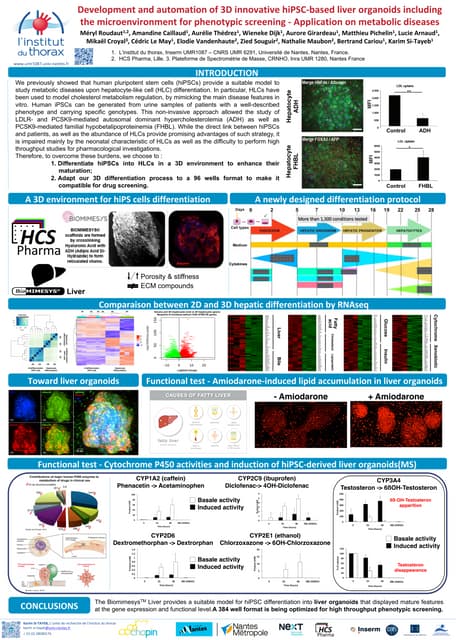 BIOMIMESYS® Liver, a 3D cell culture model for maintaining and ...