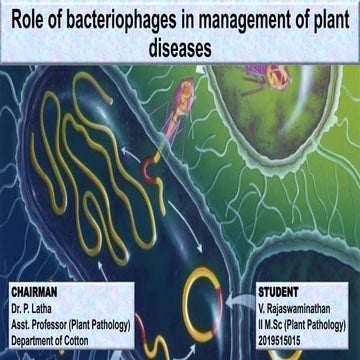 Role of bacteriophages in management of plant diseases