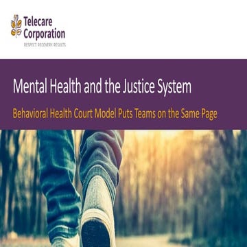 Telecare NAMI CA Presentation 2019