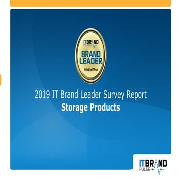 2019 Storage Brand Leader Report
