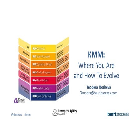 KMM: What is it for me and my organization? | PDF