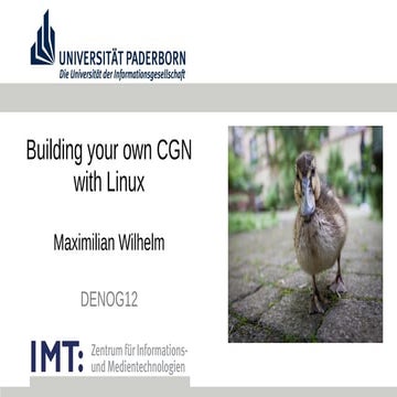 Building your own CGN boxes with Linux