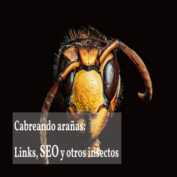 Cabreando arañas: Links, SEO y otros insectos