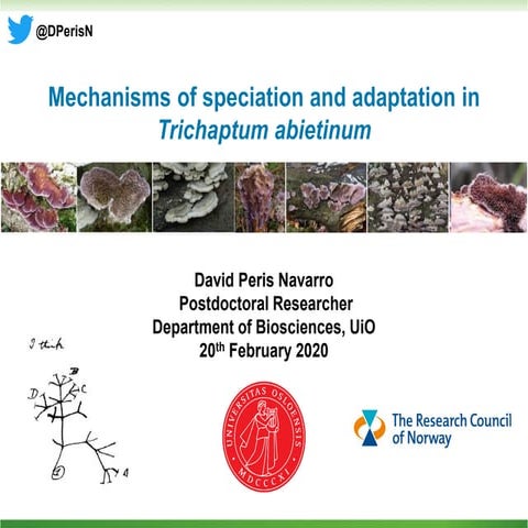 Combining and improving phenotypic traits through the generation of synthetic...