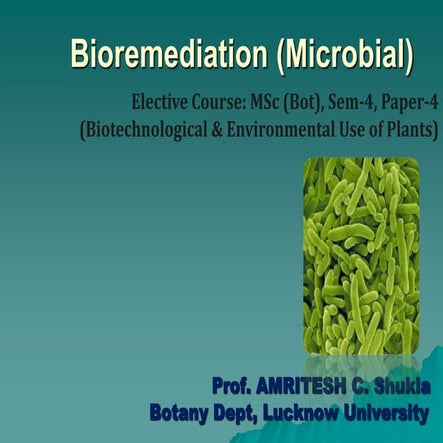 202004101117078794amritesh_shukla_bot_Bioremediation.pdf