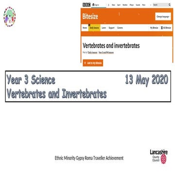 20200513-year-3-vertebrates-and-invertebrates1.ppt