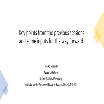 Key Points from the Previous Sessions and Some Inputs for the Way Forward