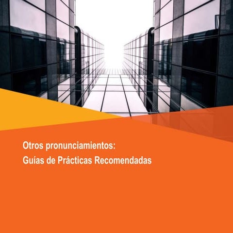 Otros pronunciamientos: Guías de Prácticas Recomendadas