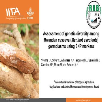 Assessment of genetic diversity among Rwandan cassava (Manihot esculenta) ger...