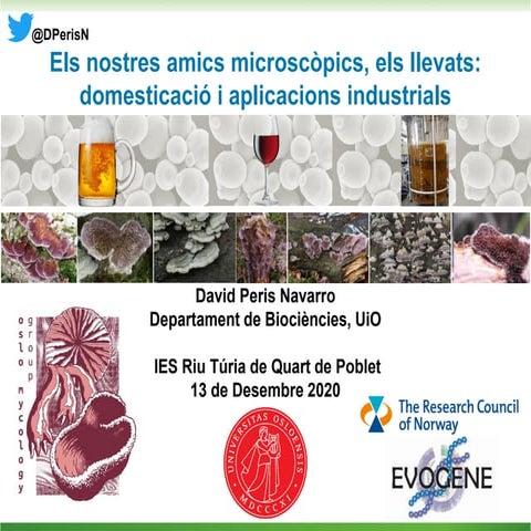 Els nostres amics microscòpics, els llevats: domesticació i aplicacions indus...