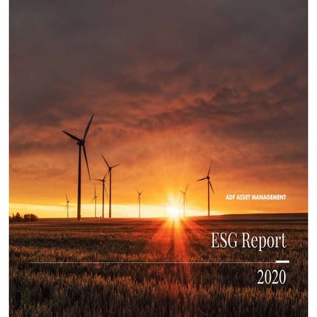 2020 ADF ESG Report Final