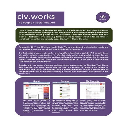 What is the history of civic activism, and what are its impacts on a ...